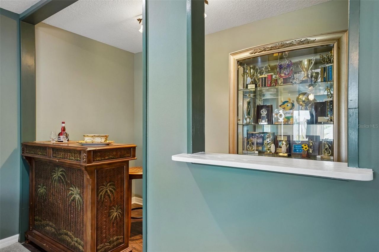 3433 Leaf Lake Drive, Land O Lakes, FL 34639 Photo