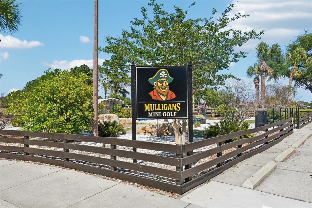 3433 Leaf Lake Drive, Land O Lakes, FL 34639 Photo
