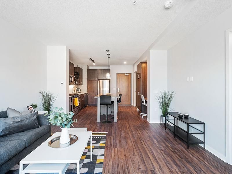 811 Washington Avenue S, Unit 515, Minneapolis, MN 55415 Main Photo