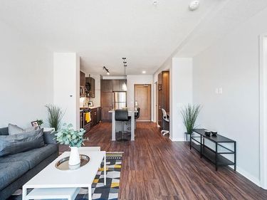 811 Washington Avenue S, Unit 515, Minneapolis, MN 55415