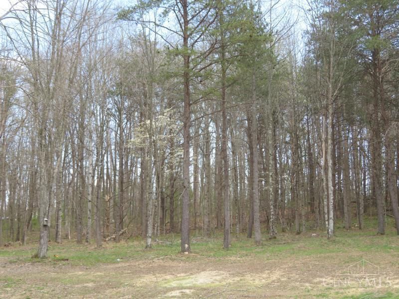 1505 Newland Ridge Road, Peeble Twp, OH 45690 Photo 26