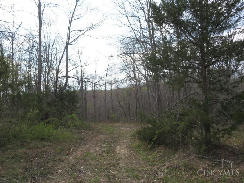 1505 Newland Ridge Road, Peeble Twp, OH 45690 Photo 29