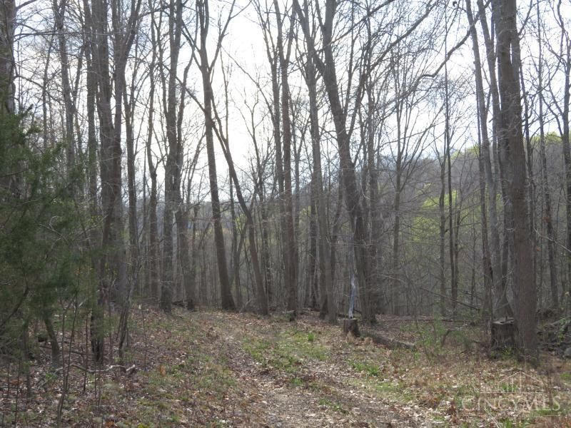 1505 Newland Ridge Road, Peeble Twp, OH 45690 Photo 30