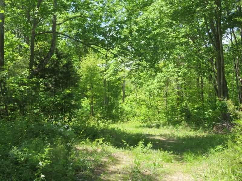 1505 Newland Ridge Road, Peeble Twp, OH 45690 Photo 30