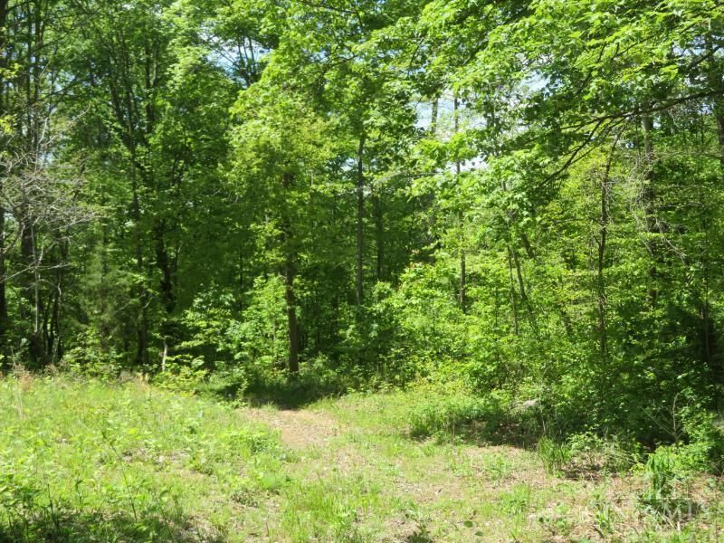 1505 Newland Ridge Road, Peeble Twp, OH 45690 Photo 31