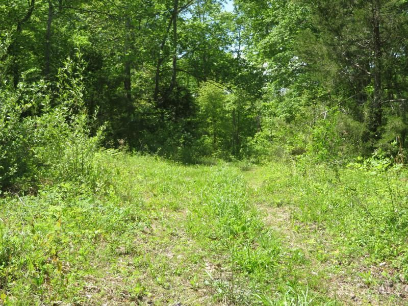 1505 Newland Ridge Road, Peeble Twp, OH 45690 Photo 32