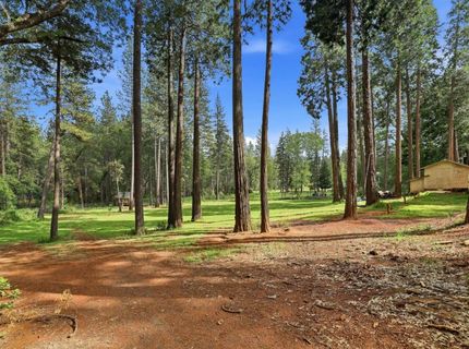 4061 Cedar Dr, Georgetown, CA 95634 Photo