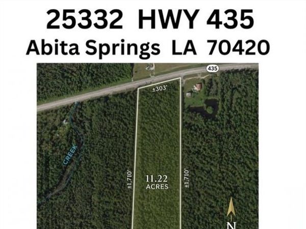 25332 HWY 435 Highway , Abita Springs, LA 70420