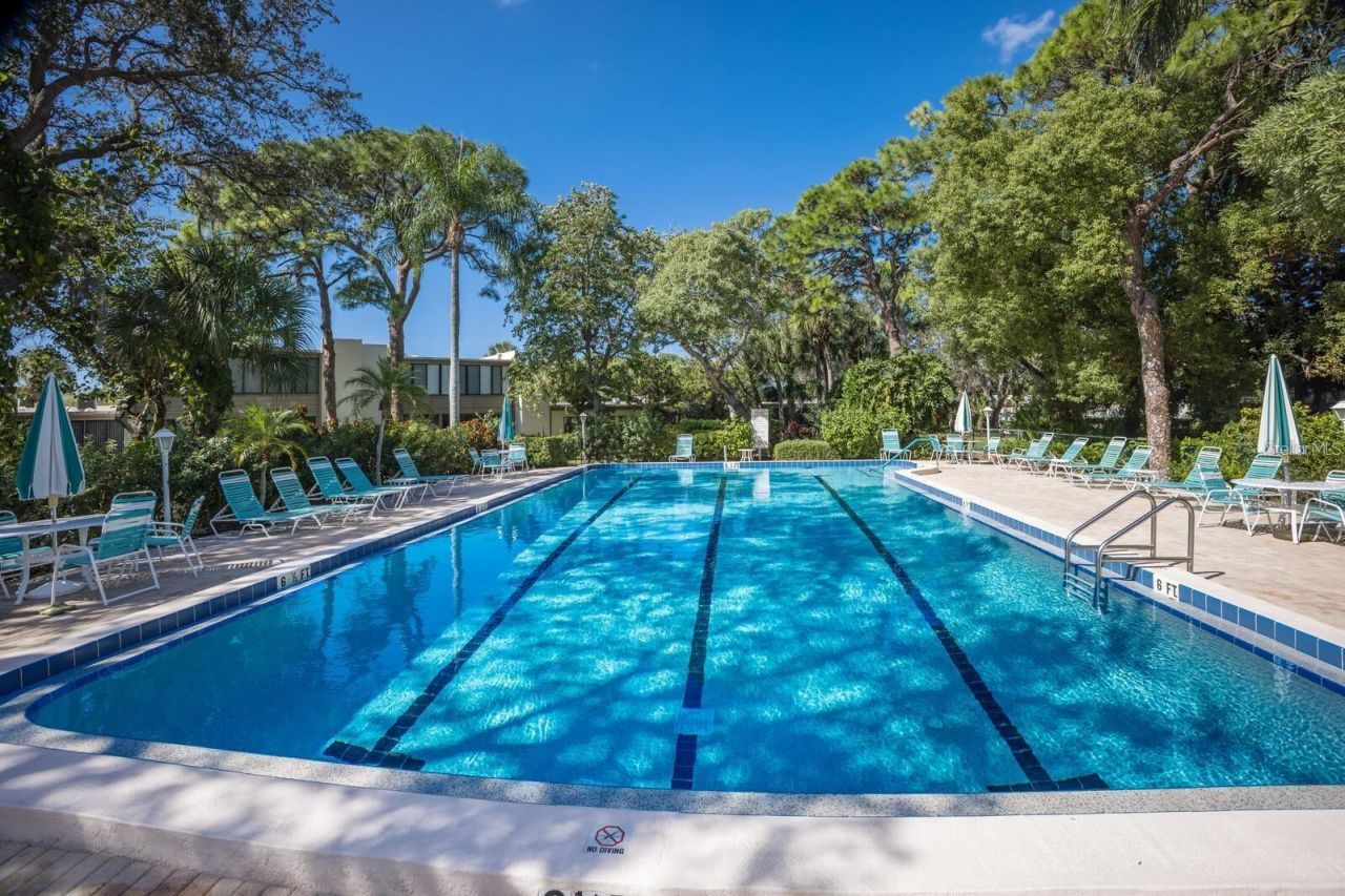 135 Wild Palm Drive , Bradenton, FL 34210 Photo