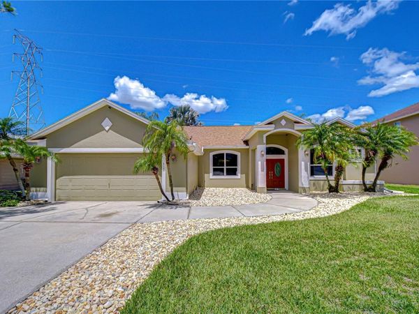 4505 BLOOMSBURY COURT , TAMPA, FL 33624