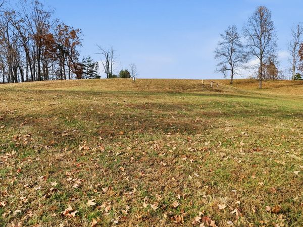 150 Quail Hollow Cove, Spring City, TN 37381