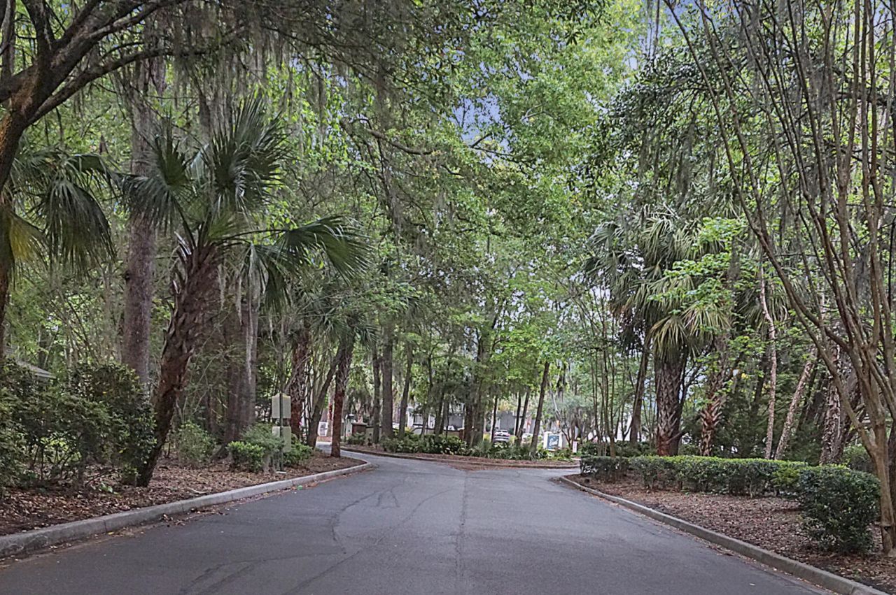 8169 Shadow Oak Drive Photo 49