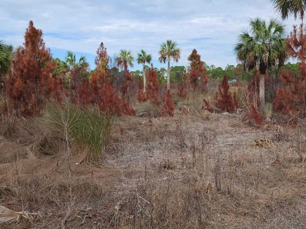 0 SW 153rd Terrace, Cedar Key, FL 32625