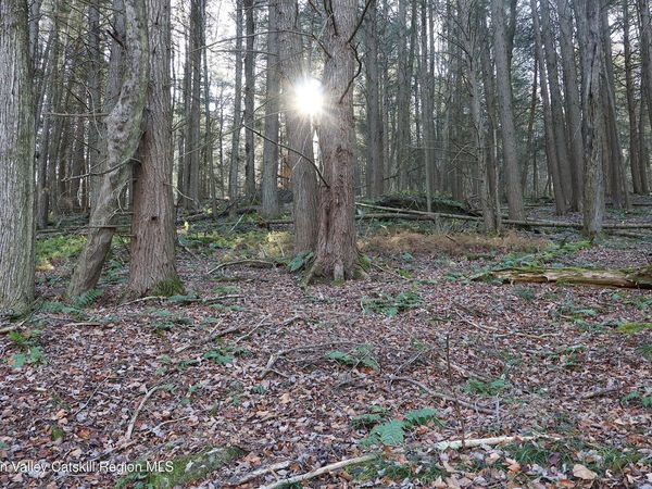 Tbd Hall Road, Margaretville, NY 12455