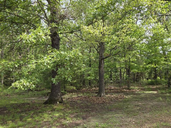 222 Thunder Road, Buffalo, MO 65622