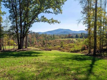 7337-4 DICK WOODS RD, Unit 4, AFTON, VA 22920