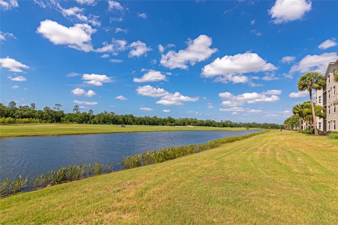 18008 Gawthrop Drive, Unit 101, Lakewood Ranch, FL 34211 Photo