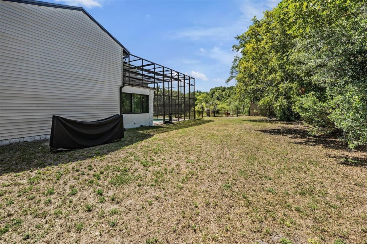 3304 Moran Road, Tampa, FL 33618 Photo