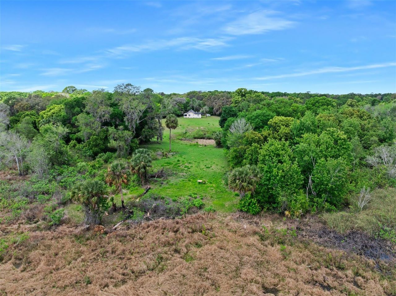 141 N Pine Street, Pierson, FL 32180 Photo