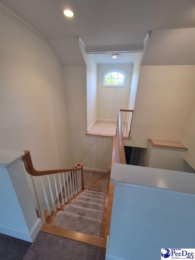 2979 Middlecoff Ln Photo 11