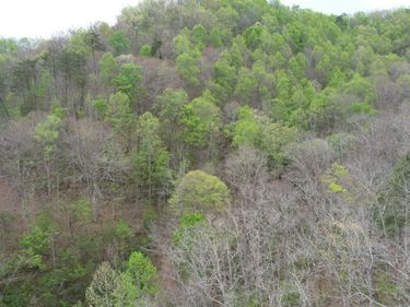 321 Mill Creek Road, Jackson, KY 41339