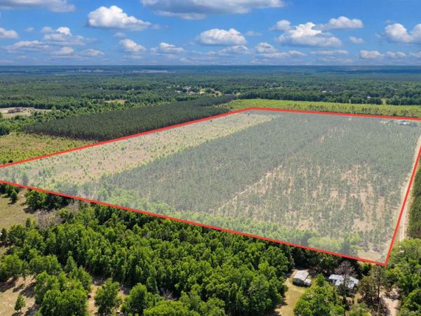 TBD 192ND STREET (SOUTH), OBrien, FL 32071