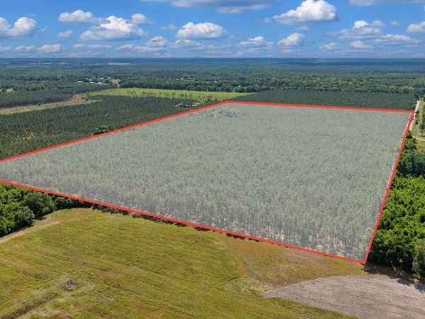 TBD 192ND STREET (NORTH), OBrien, FL 32071