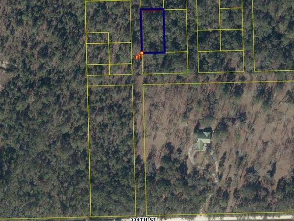SE SUWANNEE HEIGHTS, OBrien, FL 32071