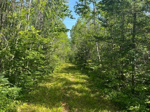 1961 Town Road 118 , Birchdale, MN 56629