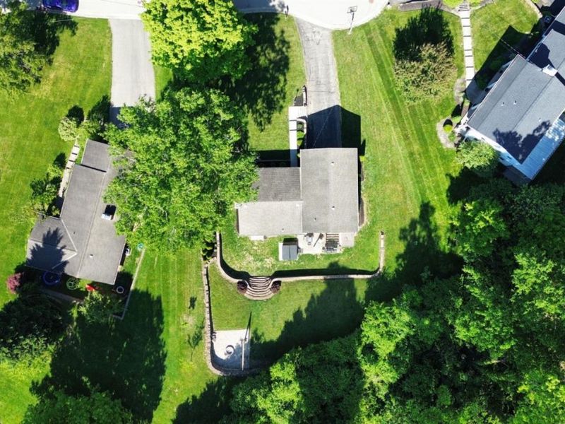 1009 Lanette Drive, Anderson Twp, OH 45230 Photo 5