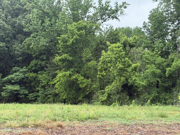 Green River Road, Lake Cormorant, MS 38641