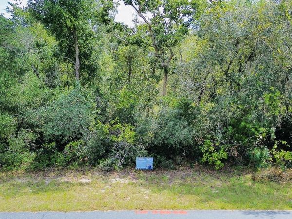 Tbd SW 37th Avenue, Ocala, FL 34473