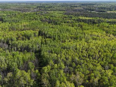 TBD Town Road 118, Birchdale, MN 56629