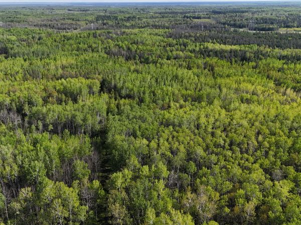 TBD Town Road 118, Birchdale, MN 56629