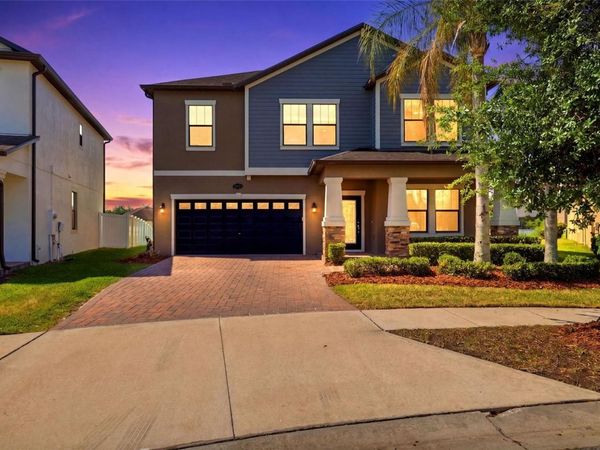 19419 PADDOCK VIEW DRIVE, TAMPA, FL 33647