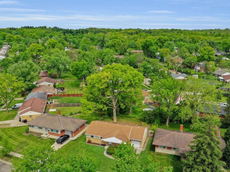 225 Ireland Avenue, Greenhills, OH 45218 Photo 38