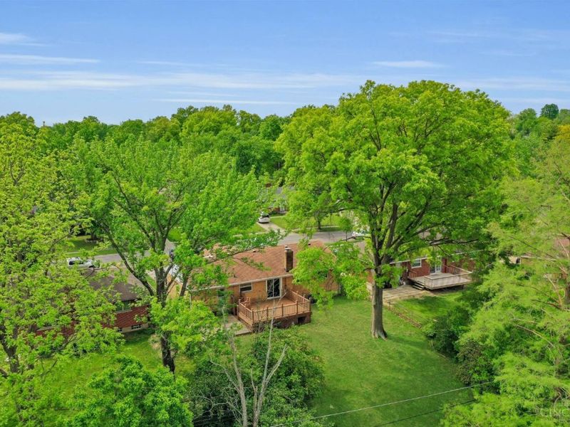 225 Ireland Avenue, Greenhills, OH 45218 Photo 45