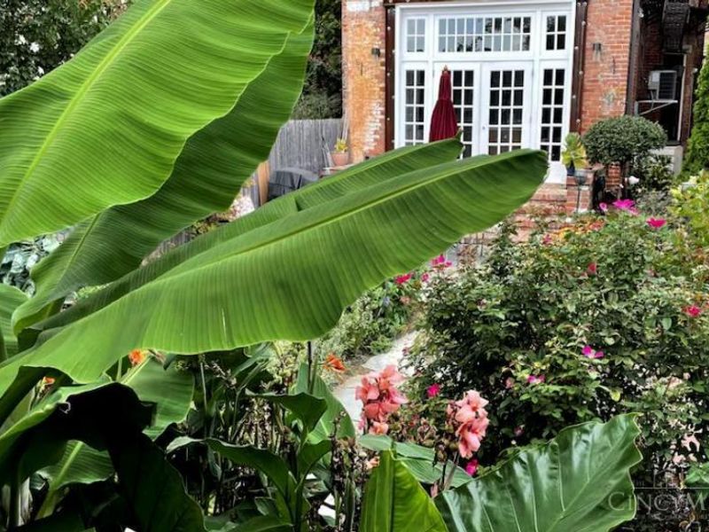 909 Dayton Street, Cincinnati, OH 45214 Photo 48