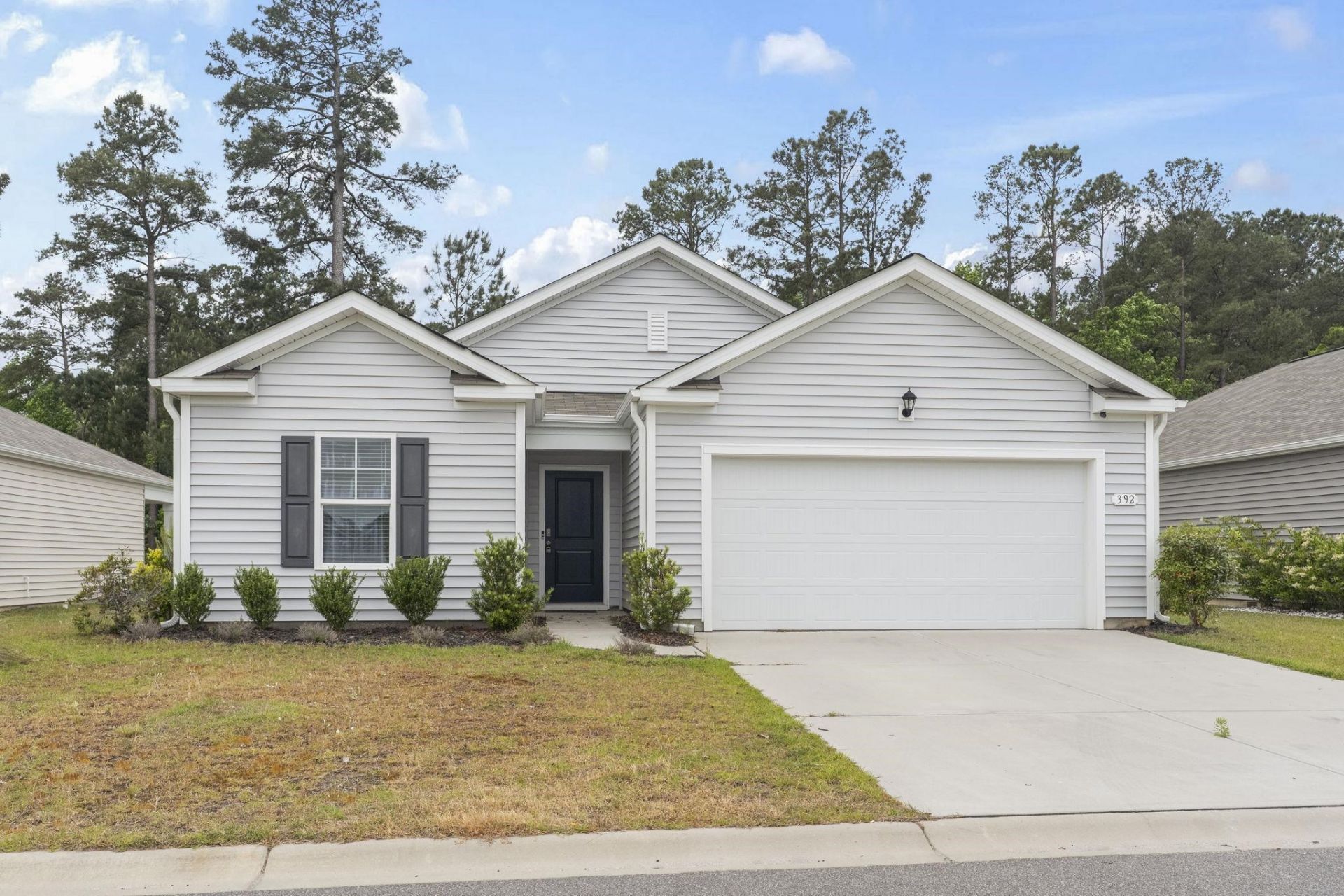 392 Spruce Pine Way Photo 29