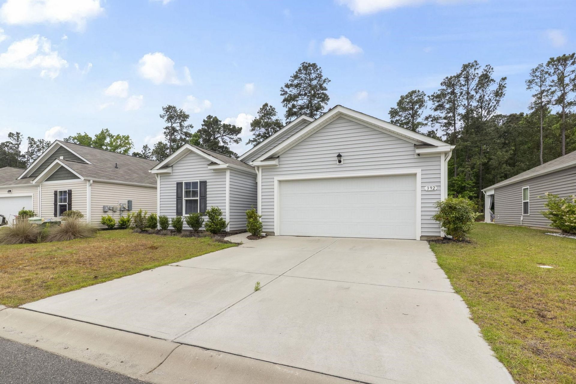 392 Spruce Pine Way Photo 30