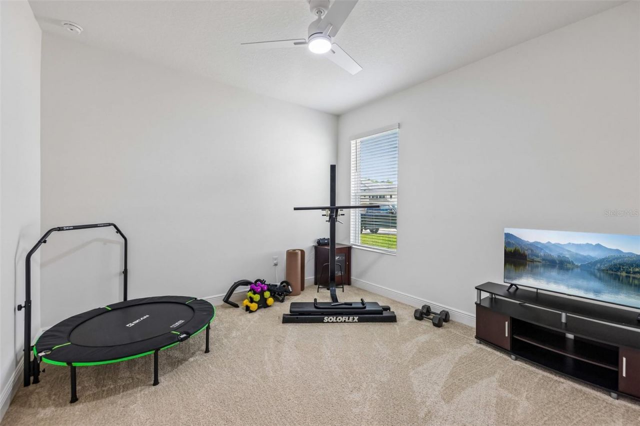 6100 Sierra Crown Street, Mount Dora, FL 32757 Photo