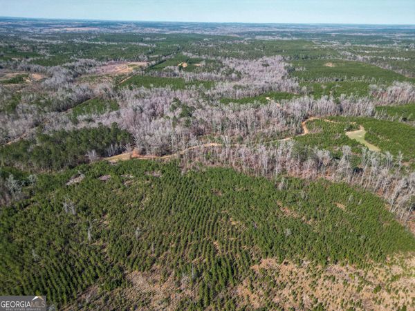 1298 Days Avenue, Morris, GA 39867