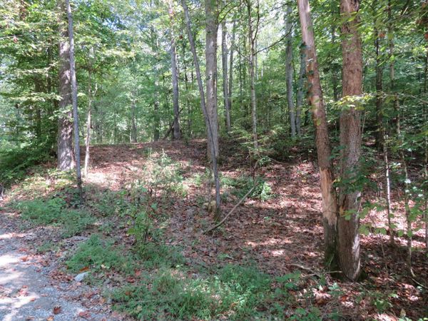 0 BUGG HOLLOW RD , Gallatin, TN 37066