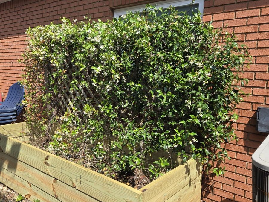 Property Image 98