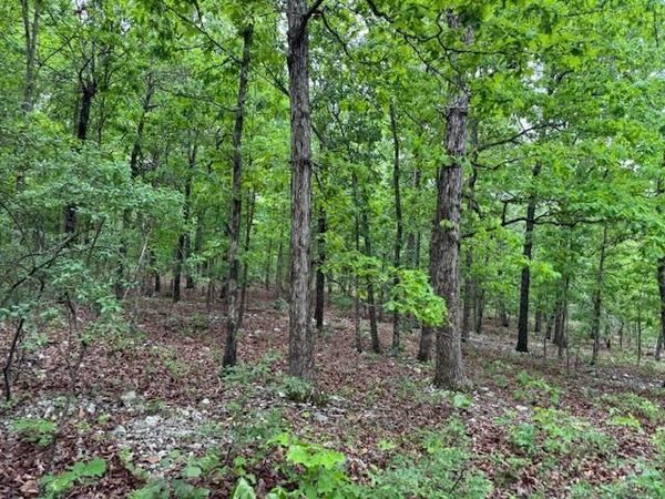 1329 Echowood Cir , Viola, AR 72583