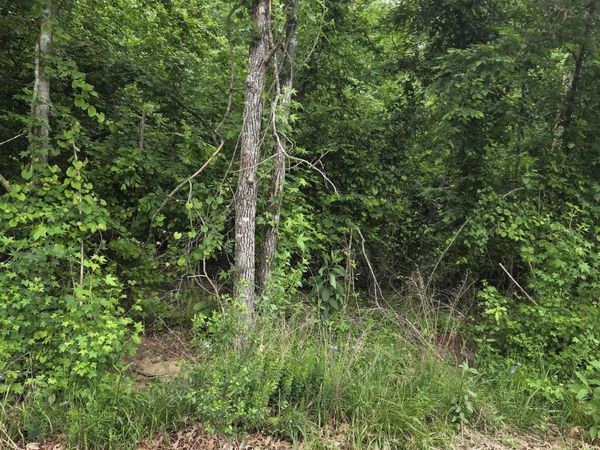 Hot Springs, AR 71913