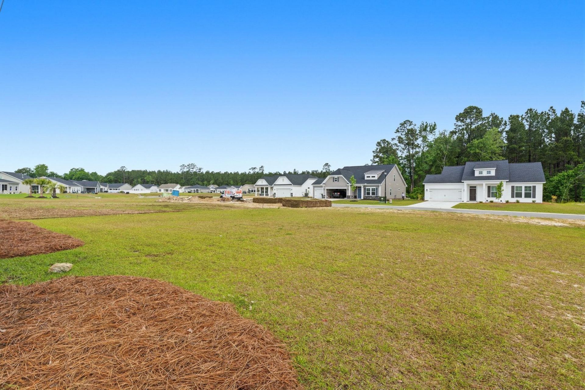 369 Palmetto Sand Loop  Photo 30