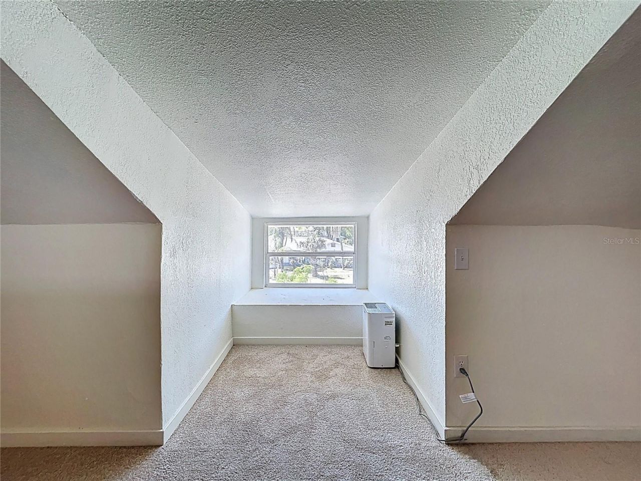 313 Jefferson Avenue S, Oldsmar, FL 34677 Photo