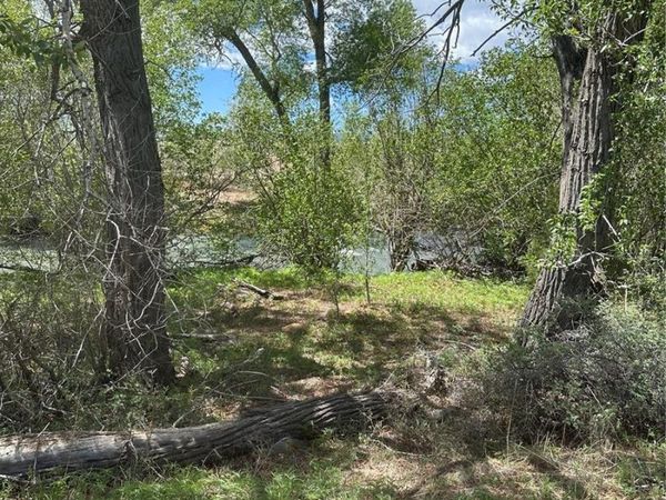 Lot 109 Alamosa River Estates , Capulin, CO 81124