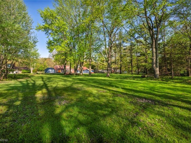 8689 Stearns Road , Olmsted Township, OH 44138 Photo 40